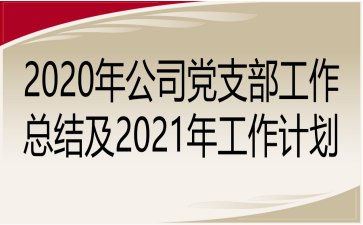 2020깫˾֧ܽἰ2021깤ƻ