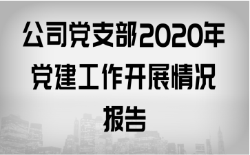 ˾֧2020굳չ